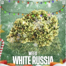 бошки